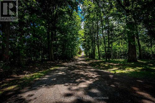 548 Lorna Lane, Greater Napanee, ON - Outdoor With View