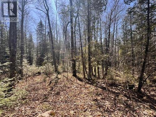 Lot B - 0 Storms Road, Stirling-Rawdon, ON 