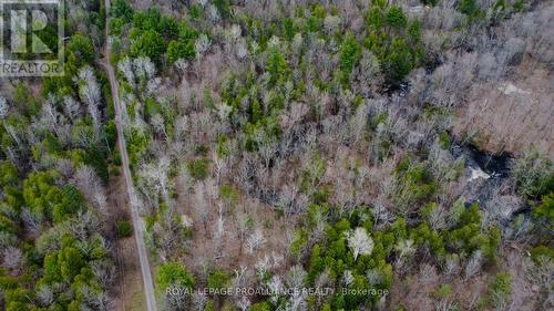 Lot B - 0 Storms Road, Stirling-Rawdon, ON 