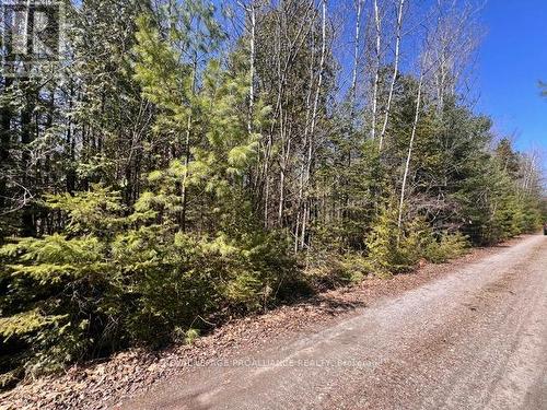 Lot B - 0 Storms Road, Stirling-Rawdon, ON 