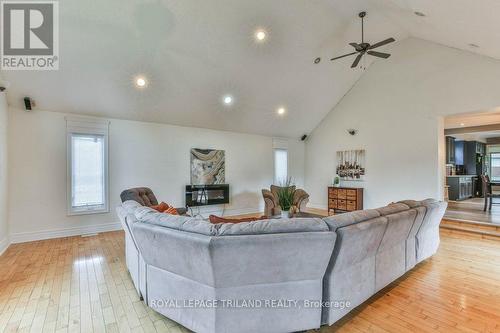 115 Loggers Grove, London, ON - Indoor Photo Showing Living Room With Fireplace