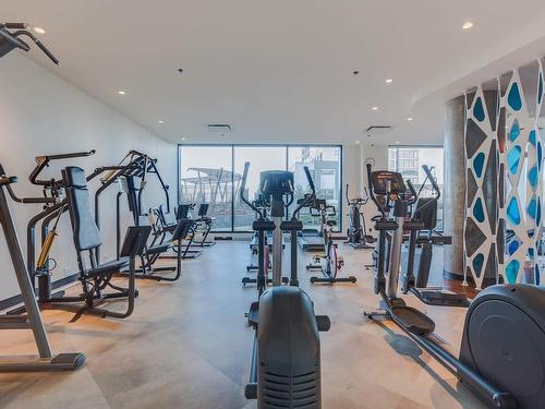 Exercise room - 306-101 Rue De La Rotonde, Montréal (Verdun/Île-Des-Soeurs), QC - Indoor Photo Showing Gym Room