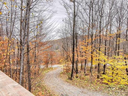 ExtÃ©rieur - 50 Ch. Des Muses, Mont-Tremblant, QC - Outdoor With View