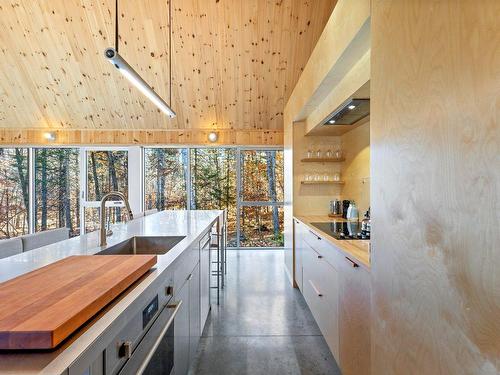 Kitchen - 225 Ch. Des Bolets, Chertsey, QC - Indoor Photo Showing Kitchen