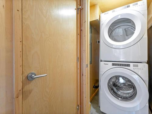 Other - 225 Ch. Des Bolets, Chertsey, QC - Indoor Photo Showing Laundry Room