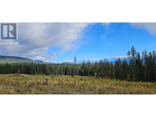 1796 Meadowbrook Settlement Road Lot# Lot 8, Kimberley, BC - Outdoor With View