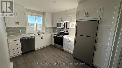 98 Sixth Avenue, Brantford, ON - Indoor Photo Showing Kitchen With Stainless Steel Kitchen With Double Sink