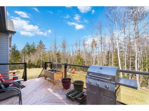 71 Cottontail Lane, Mineville, NS 