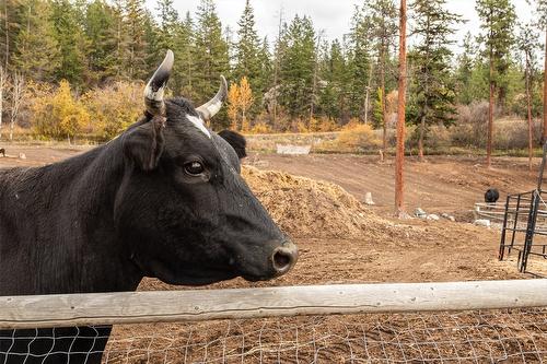 5974 Farmers Drive, Kelowna, BC - Outdoor