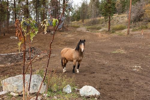 5974 Farmers Drive, Kelowna, BC - Outdoor