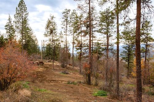 5974 Farmers Drive, Kelowna, BC - Outdoor With View