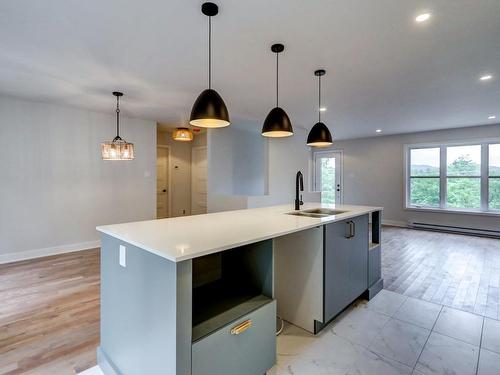 Cuisine - 3525 Rue Rolland, Sainte-Adèle, QC - Indoor Photo Showing Kitchen With Double Sink