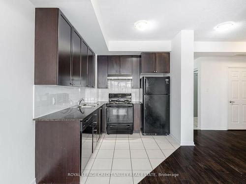 211-50 Sky Harbour Dr, Brampton, ON - Indoor Photo Showing Kitchen With Double Sink