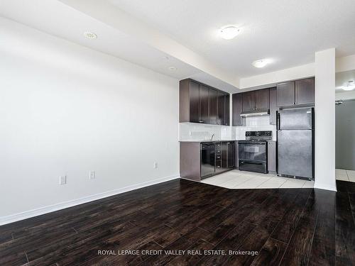 211-50 Sky Harbour Dr, Brampton, ON - Indoor Photo Showing Kitchen