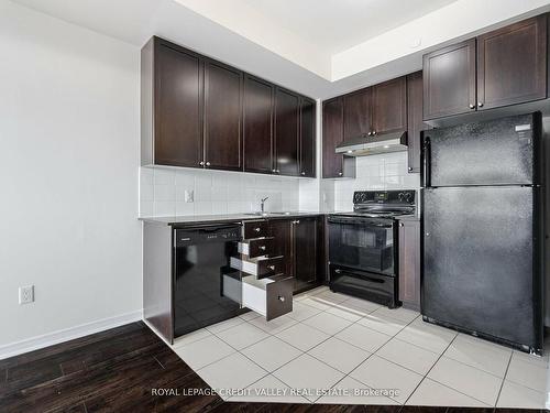 211-50 Sky Harbour Dr, Brampton, ON - Indoor Photo Showing Kitchen