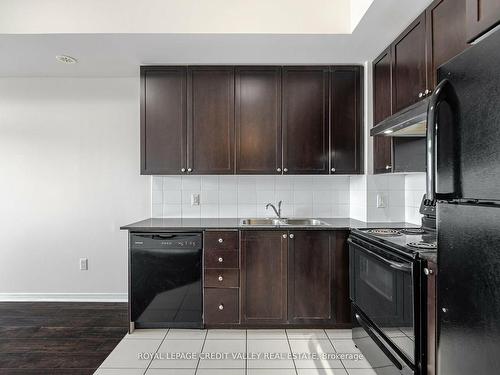 211-50 Sky Harbour Dr, Brampton, ON - Indoor Photo Showing Kitchen With Double Sink