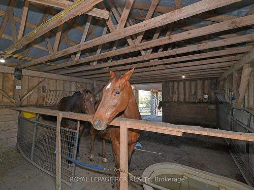 071533 10Th Line, East Garafraxa, ON - Indoor Photo Showing Other Room