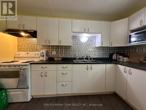 2 Driftwood Crescent, Kawartha Lakes, ON - Indoor Photo Showing Kitchen With Double Sink