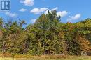 02 Braecrest Avenue, Mcnab/Braeside, ON 