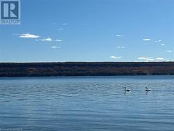 Public Water access to Georgian Bay - 