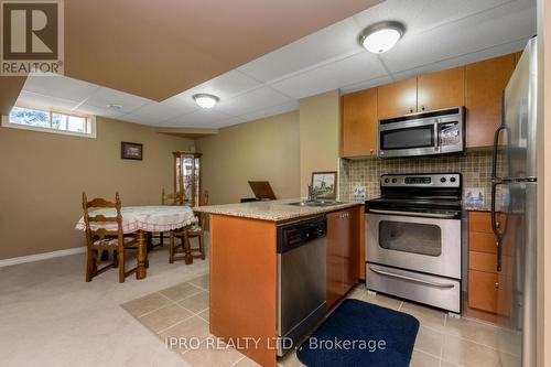 249 Montgomery Boulevard W, Orangeville, ON - Indoor Photo Showing Basement