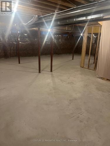 48 Coulter Street, Scugog, ON - Indoor Photo Showing Basement