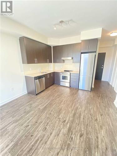 306 - 212 King William Street, Hamilton, ON - Indoor Photo Showing Kitchen