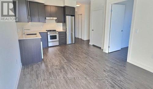 306 - 212 King William Street, Hamilton, ON - Indoor Photo Showing Kitchen With Stainless Steel Kitchen