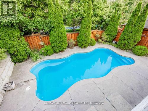 37 Red Cardinal Trail, Richmond Hill, ON - Outdoor With In Ground Pool With Backyard