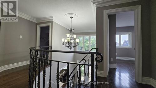 932 Schaeffer Outlook, Newmarket, ON - Indoor Photo Showing Other Room