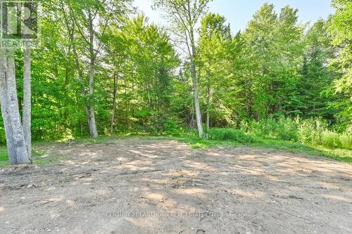 1713 Hollowview Road, Stirling-Rawdon, ON - Outdoor