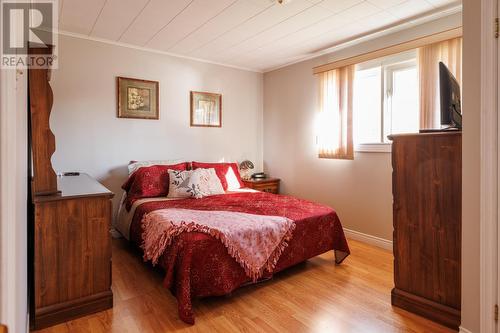 10 Churchill Avenue Avenue, Mount Pearl, NL - Indoor Photo Showing Bedroom