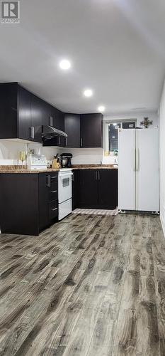 Bsmt - 58 Watson Crescent, Brampton, ON - Indoor Photo Showing Kitchen