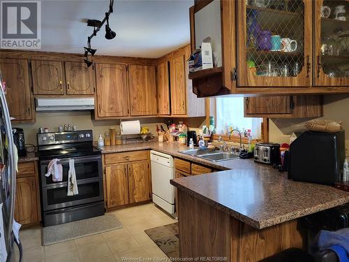 361 Indian Creek Road, Chatham, ON - Indoor Photo Showing Kitchen With Double Sink