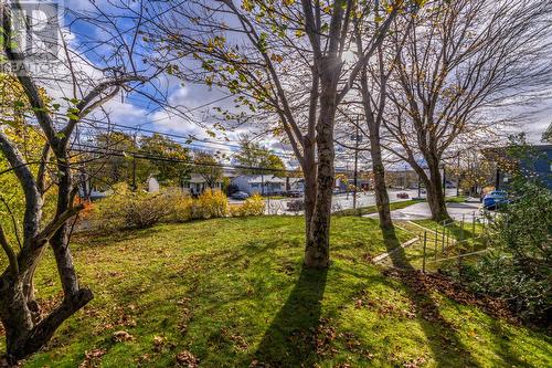 554 Topsail Road, St. John'S, NL - Outdoor With View