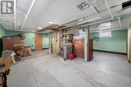 554 Topsail Road, St. John'S, NL - Indoor Photo Showing Basement