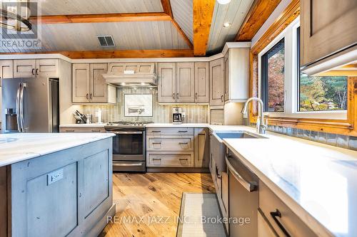 19 Ledge Road, Galway-Cavendish And Harvey, ON - Indoor Photo Showing Kitchen With Upgraded Kitchen