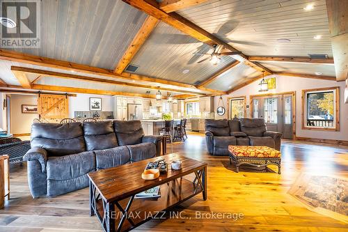 19 Ledge Road, Galway-Cavendish And Harvey, ON - Indoor Photo Showing Living Room