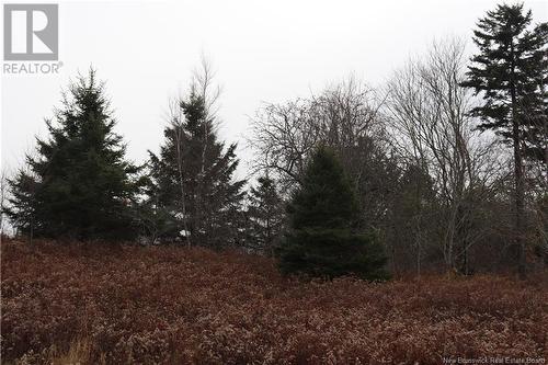 3926 895 Route, Kingston, NB - Outdoor With View