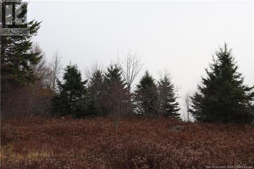 3926 895 Route, Kingston, NB - Outdoor With View