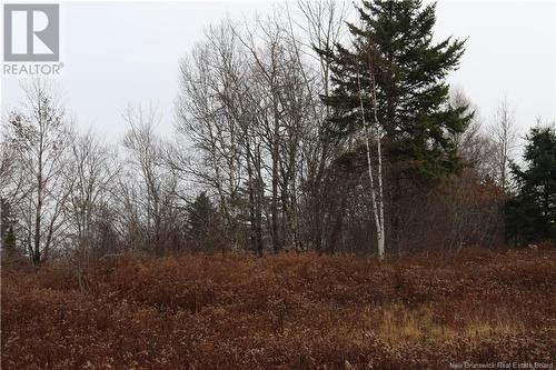 3926 895 Route, Kingston, NB - Outdoor With View