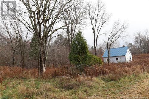 3926 895 Route, Kingston, NB - Outdoor With View