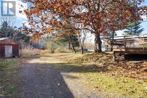 5448 Route 101, Central Blissville, NB - Outdoor