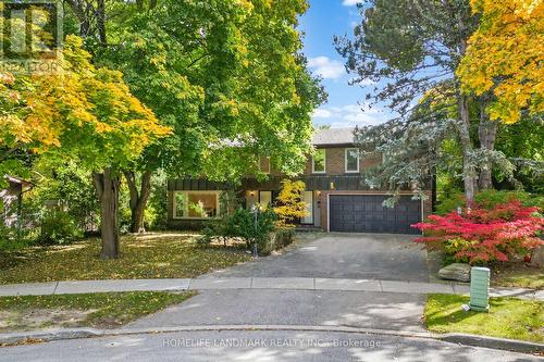 9 Silvergrove Road, Toronto, ON - Outdoor