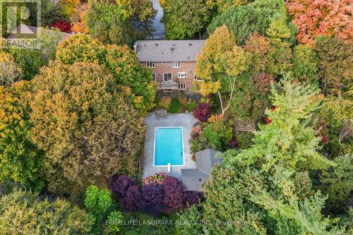 9 Silvergrove Road, Toronto, ON - Outdoor With In Ground Pool