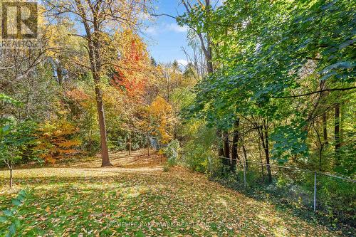 9 Silvergrove Road, Toronto, ON - Outdoor With View