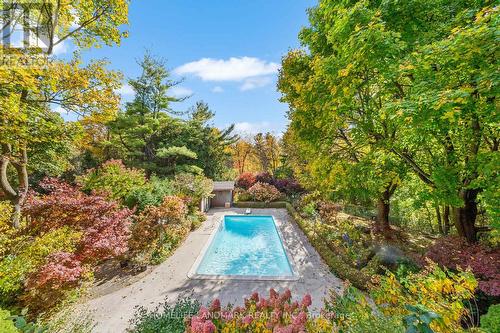 9 Silvergrove Road, Toronto, ON - Outdoor With In Ground Pool