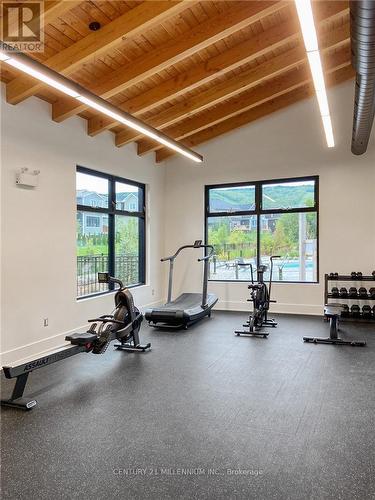 120 Sycamore Street, Blue Mountains, ON - Indoor Photo Showing Gym Room