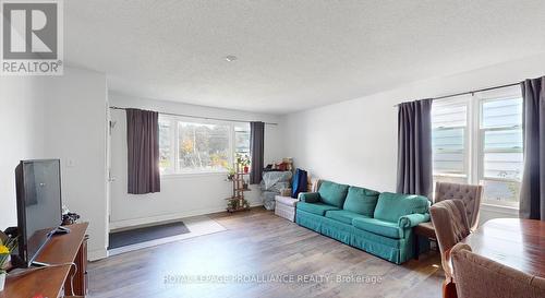 1348 Princess Street, Kingston, ON - Indoor Photo Showing Living Room