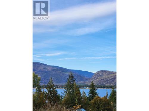 1546 Blind Bay Road, South Shuswap, BC - Outdoor With View